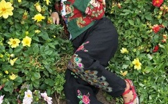 广场舞廖弟专辑